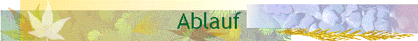 Ablauf